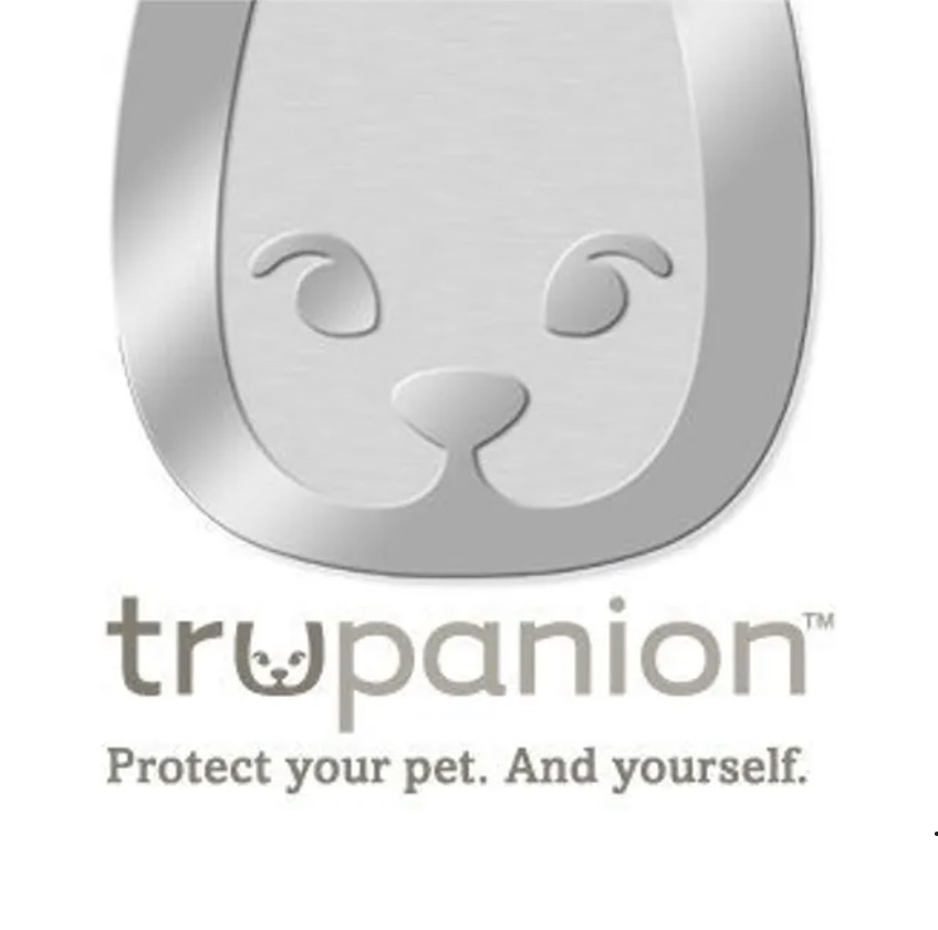 Pet Insurance for Sheepadoodles in Ontario